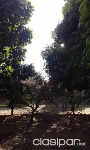 Quinta en Ñemby — foto 3