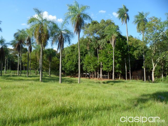 CAMPO DE 12 HAS CON ARROYO EN CARAPEGUA — foto 2