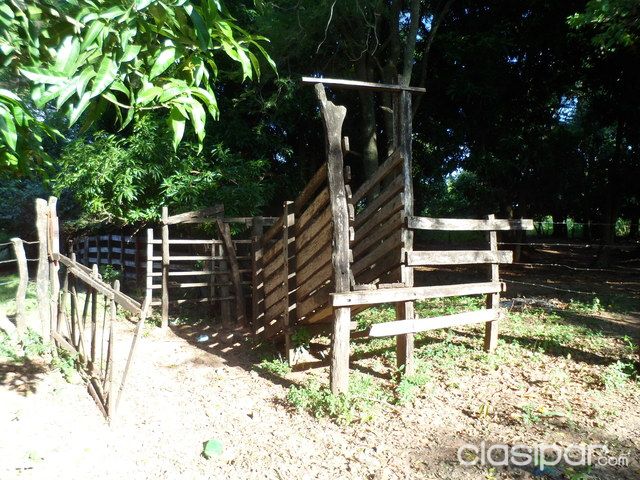 CAMPO DE 12 HAS CON ARROYO EN CARAPEGUA — foto 3