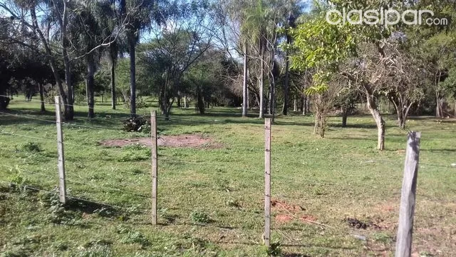 ATENCION!!!!!! VENDO 2 HECTAREAS Y MEDIA EN ÑEMBY — foto 3