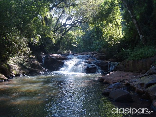 Venta de 190 Hectareas, chacras, Cerro Azul, Misiones — foto 2