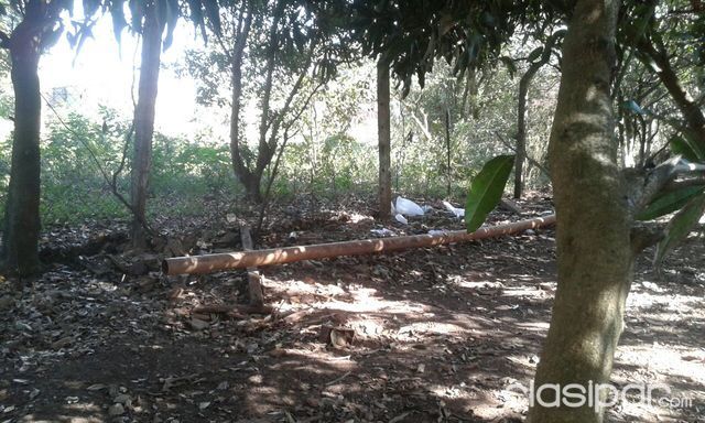 Vendo casa con excelente ubicación en Encarnación!!! — foto 2
