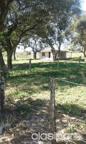ZONA YHU CAAGUAZU!! REMATO!! dos hermosas propiedades de 40has y 35has!!! — foto 2