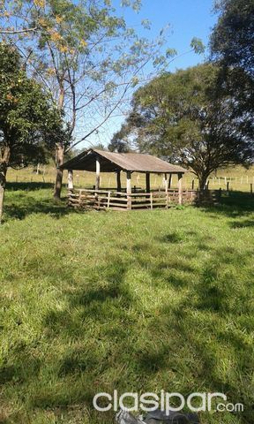 ZONA YHU CAAGUAZU!! REMATO!! dos hermosas propiedades de 40has y 35has!!! — foto 3