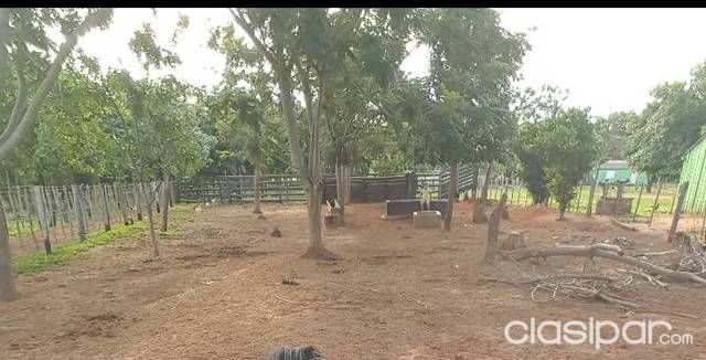 Vendo terreno de 10hectareas — foto 2