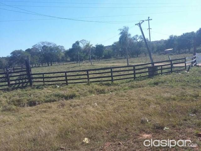 Vendo 15.5Ha En Tarumandy Sobre Rutas Asfaltadas Ruta Que Une Luque Con Samber — foto 3