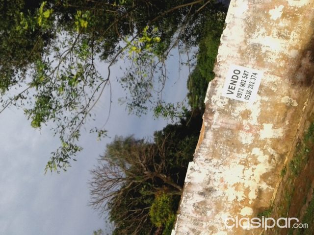 Terreno en Quiindy sobre asfalto, a una cuadra de la ruta Nro1 — foto 3