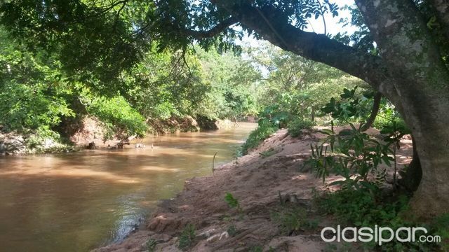 VENDO HERMOSA PROPIEDAD DE 97 HAS SOBRE ARROYO PIRIBEBUY EN EUSEBIO AYALA — foto 3