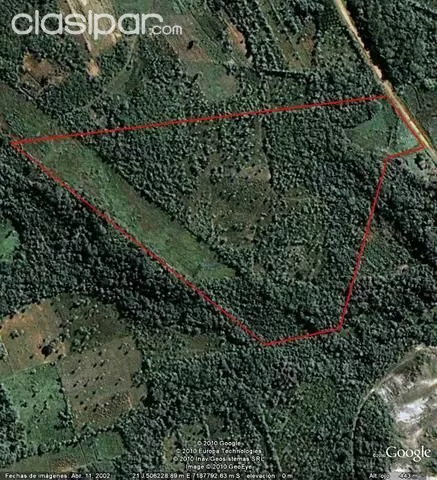 terreno (ha): p granja en Cordillera Km 77, Special for retirement more than 18 acres — foto 2