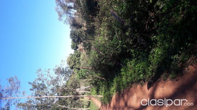 SE VENDE 10 TERRENOS JUNTOS EN LUQUE 3600 MTS CUADRADOS — foto 3