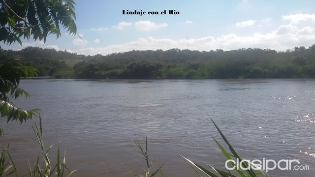 Vendo 16 hectáreas en Pte Franco con borde al Río monday — foto 3