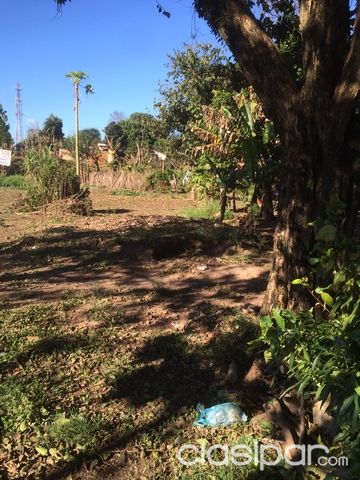 Vendo dos terrenos juntos en CDE km. 9 — foto 3