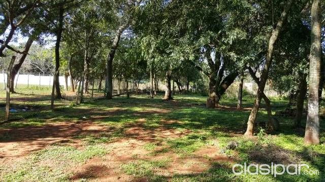 Hermosa propiedad de 40.000m2 a tres cuadras del palacio de justicia de luque — foto 2