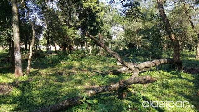Hermosa propiedad de 40.000m2 a tres cuadras del palacio de justicia de luque — foto 3