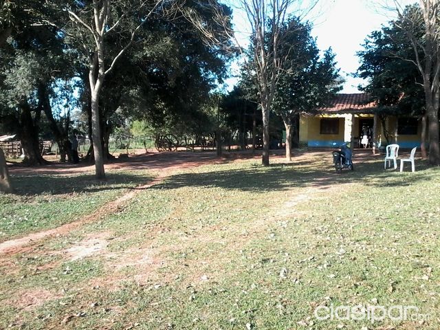 VENDO 101 HAS. TERRENO MECANIZADO — foto 2