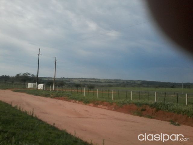 VENDO 101 HAS. TERRENO MECANIZADO — foto 3