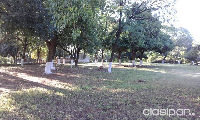 Terreno frente al ABASTO NORTE — foto 2