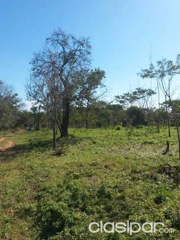 HERMOSA PROPIEDAD EN LUQUE-YKUA DURE — foto 3