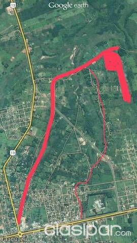 Caaguazu lugar tacuru toro blanco — foto 2