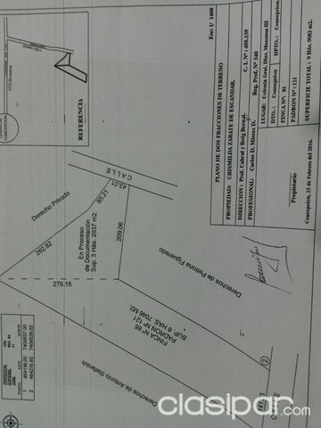 VENDO GRANJA 10hts EN CONCEPCION — foto 3