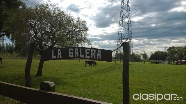 Vendo Granja con corral preparado para 1500 animales — foto 2