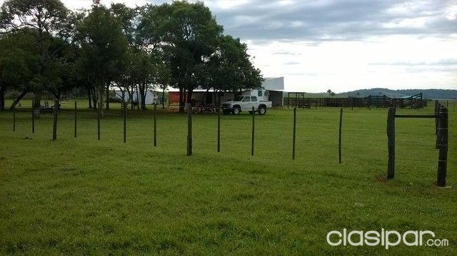 Vendo Granja con corral preparado para 1500 animales — foto 3
