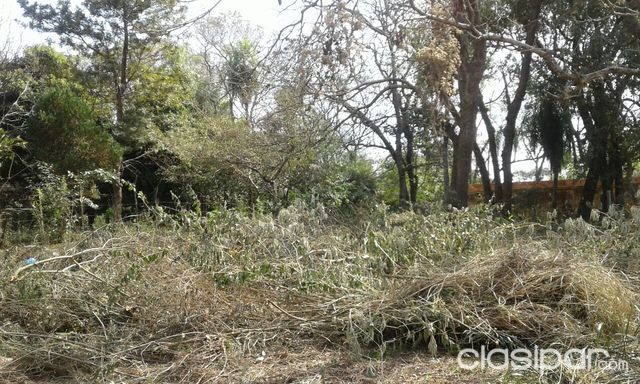 TERRENO ZONA ITA ANGU´A LUQUE — foto 2