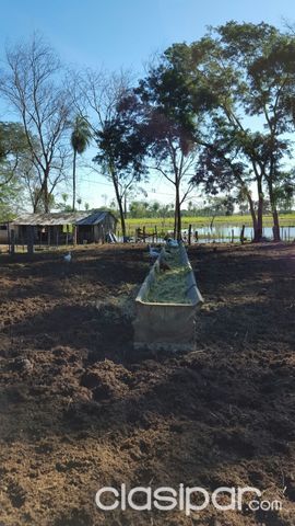 Vendo establecimiento rural en Santa ni Oferta — foto 3