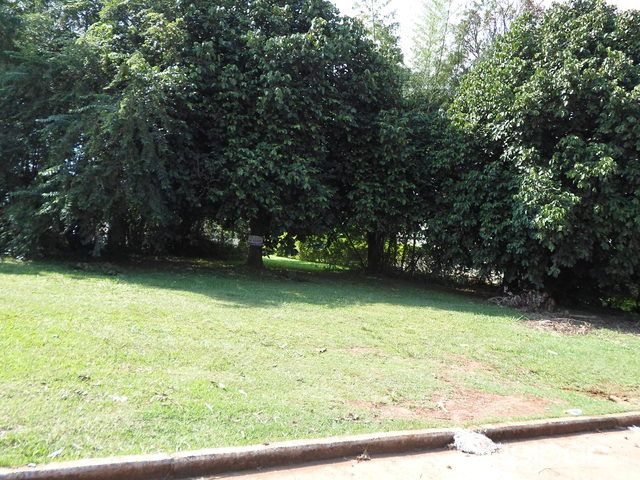 Terreno en Parana Country Club — foto 2