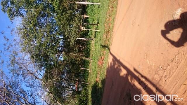 Dos terrenos juntos o separados — foto 2