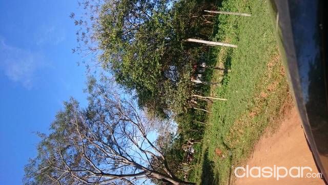 Dos terrenos juntos o separados — foto 3