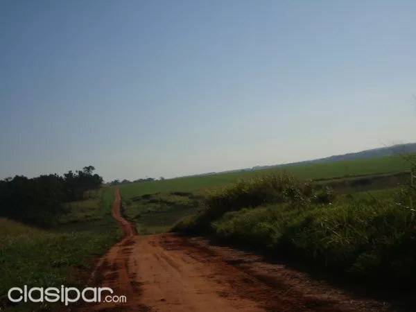 CAAGUAZU TIERRA DE PRIMERA 8.000 dlsha — foto 2