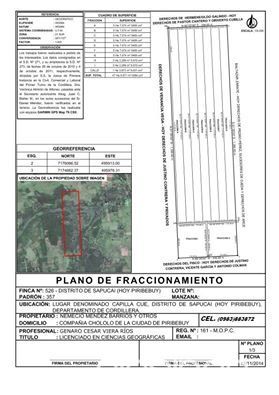 EN VENTA 35 HECTÁREAS CON ARROYO (CHOLOLO) DPTO. CORDILLERA — foto 3