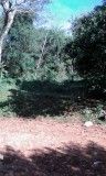 VENDO TERRENO ZONA AREGUA VALLE PUCU — foto 2