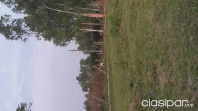 Terreno Barato En Estanzuela Itagua — foto 3