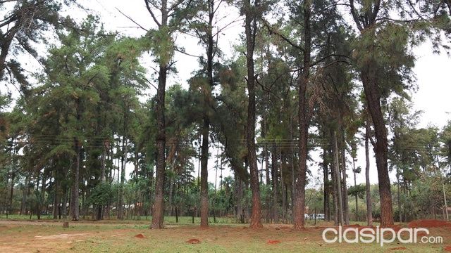 Vendo terrenos en Urbanización Alto Pinar, Laurelty, Luque — foto 3