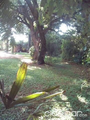 Vendo terreno — foto 2