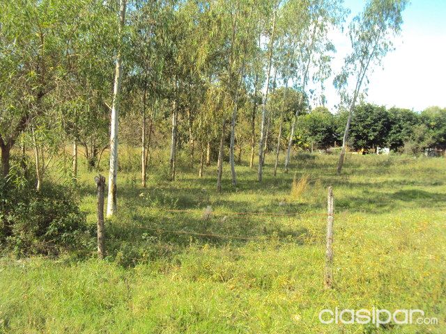 Anuncio 325293 — foto 2