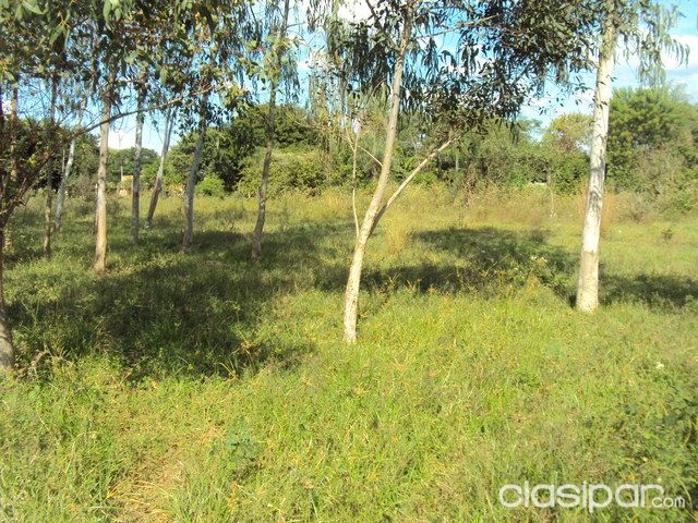 Anuncio 325293 — foto 3