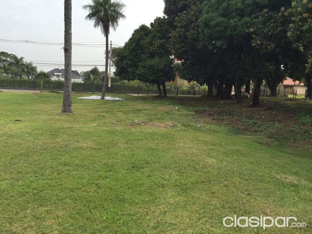 VENDO TERRENO DE 1.272 mts2, PLAZA LOS MANGOS - ZONA YACHT — foto 2