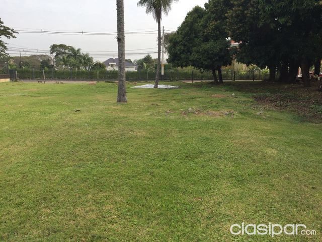 VENDO TERRENO DE 1.272 mts2, PLAZA LOS MANGOS - ZONA YACHT — foto 3