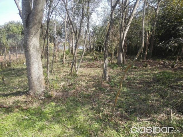 VENDO HERMOSO TERRENO SOBRE EL LAGO EN SAN BERNARDINO — foto 3