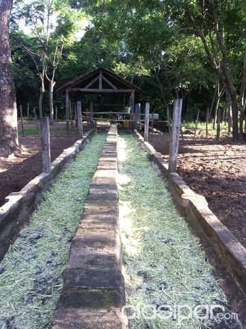 vendo una granja — foto 2