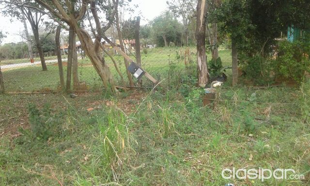Atencion inversionista Vendo Local sobre ruta afaltada en Blas Garay Calle 1 — foto 2