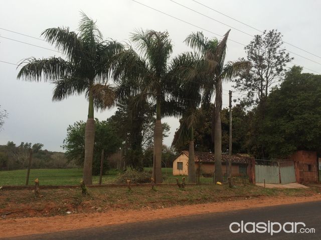 Vendo 5 Hectáreas en Capiata sobre Ruta con naciente y arroyo — foto 2