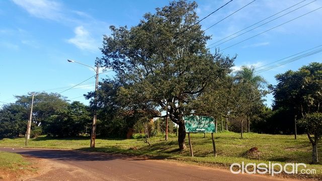 Vendo Terreno 2070 m2 al costado de Itaipú Binacional — foto 2