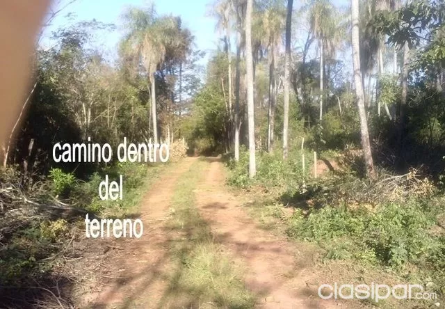 Terreno 5 hectareas un pasaiso total cerca de arroyyo — foto 2