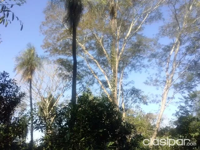 Propiedad, Campo, Oferta — foto 2