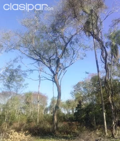 Propiedad, Campo, Oferta — foto 3