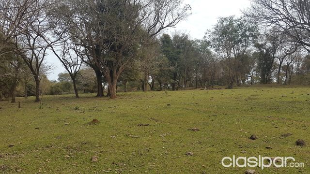 vendo terreno de 23 hectáreas en caazapa — foto 2
